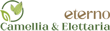 Eterno Hotels & Resorts