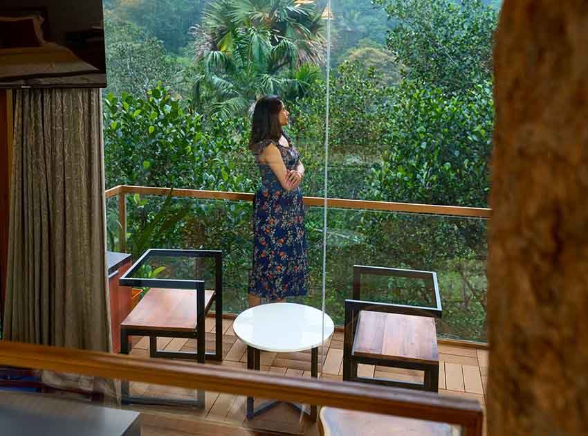 The Flora – Tree House