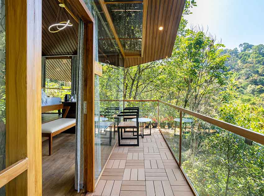 The Flora – Tree House