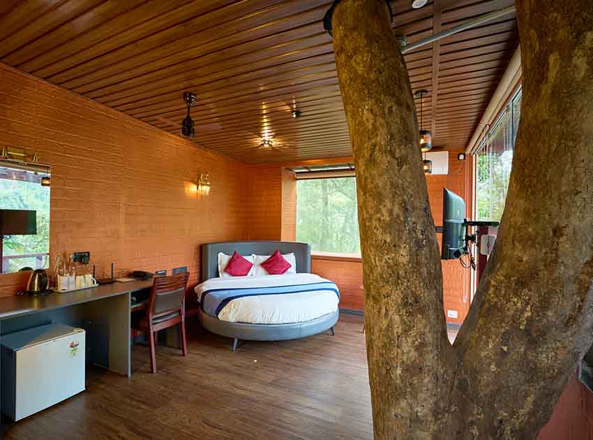 The Loft – Tree House
