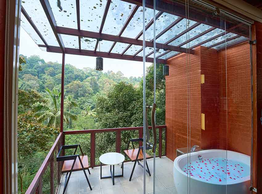 The Loft – Tree House