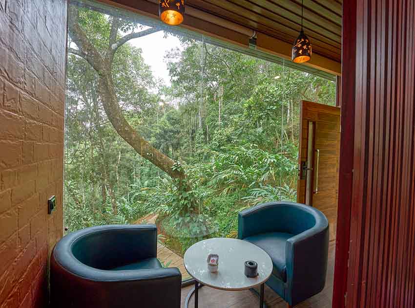 The Loft – Tree House